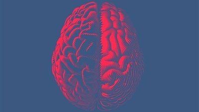 Araştırmalar Son 13 Yılda Flynn Etkisinin Tersine Döndüğünü Gösteriyor!