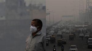 Delhi Air Pollution Crisis Triggers Blame Among States