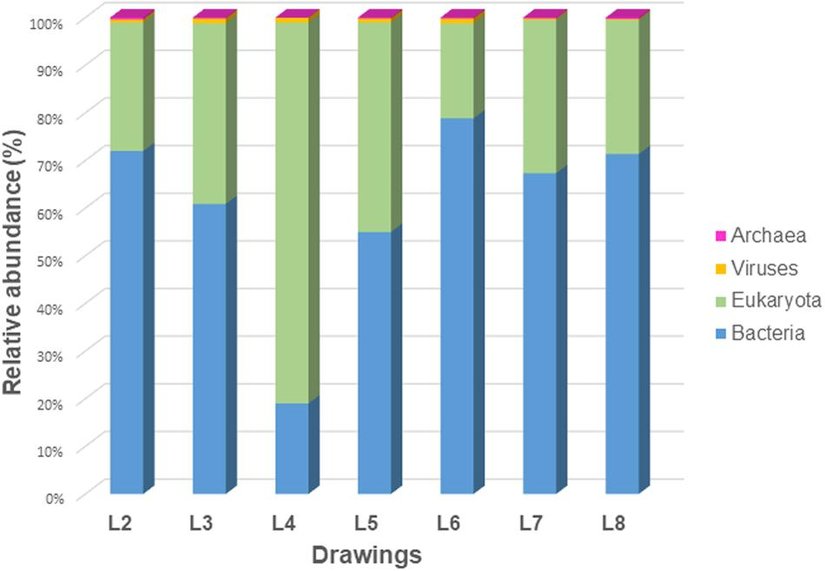 Araştırılan yedi çizimin mikrobiyomlarında ökaryotların, bakterilerin, arkelerin ve virüslerin oranı