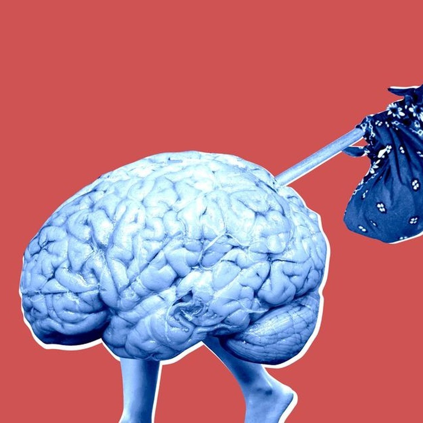 Evrim Ağacı ile Bilime Dair Her Şey!