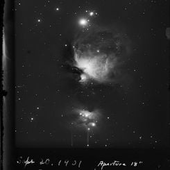  1901 Photograph: The Orion Nebula 