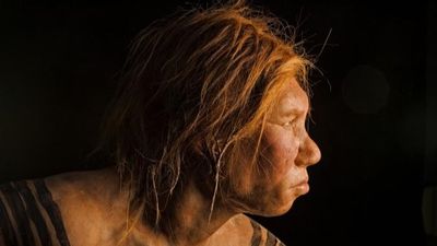 İnsanın Sağlığını Etkileyen Neandertal Genlerine Dair Yeni İpuçları