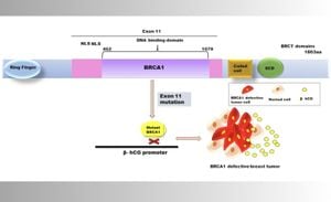 Study Reveals Genetic Mutations Disrupting Nuclear Shuttling Drive Tumor Progression