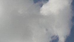 Bilimin çarpıtılması