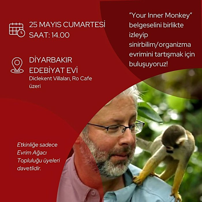 "İçimizdeki Balık" Belgeselinin 3. Bölümünü Tartışıyoruz!