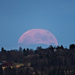  A Strawberry Moon 