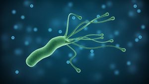 Helicobacter pylori Bakterisi Mide Kanserine Neden Olabilir!