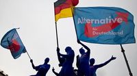 German intelligence agency labels AfD as rightwing extremist