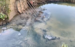 London Housing Developments Cause Raw Sewage Issues