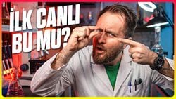 Ribozim: Yaşamı Başlatan Molek&uuml;l Bulundu mu?