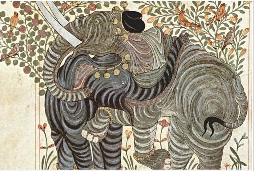 Hayvanlar Kitabı'ndan Bir Çizim