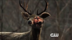 Dizilerde ve filmlerde görülen çeşitte mutasyonlar mümkün mü?