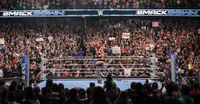 AJ Lee’s WWE return lit up this corner of the wrestling world