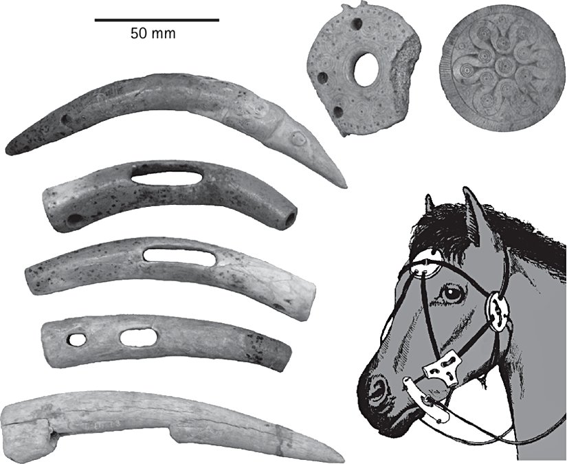 Antik Dönem Koşum Takımı