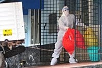 What is Nipah virus? Symptoms to watch out for as India races to contain outbreak