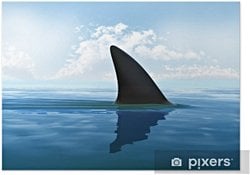 deninzin en güçlü yırtıcısı nedir ve köpek balıkları neden sırt yüzgeçleri dışarıda yüzerler?