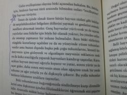 Bir kitaptan alıntılanan görseldeki bilgiye dayanarak,bitkiler meyvelerinin lezzetli  olduğunu nasıl anlıyor?