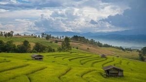 Innovative Farming Practices Shine At Thai Orange Orchards