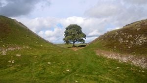 Trial Delayed For Men Charged With Felling Iconic Sycamore Gap Tree