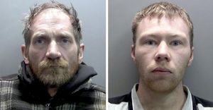 Two Men Convicted For Cutting Down Beloved Sycamore Gap Tree