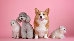 Kendi Olarak Yaşatmak