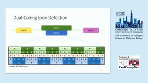 Optimized CNN Using African Vulture Algorithm Boosts Exon Detection Accuracy