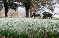 It's a 'knockout': The town named the best place to live in the UK | ITV News