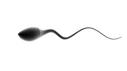 Kondom Kullanımı ve Seks: Sperm, Kadınlar Üzerinde Gerçekten Antidepresan Etkiye Sahip mi?