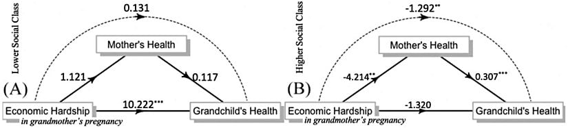 Sosyal sınıflara göre aracılık analizi sonuçları.