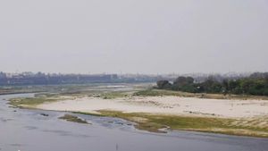 Yamuna Floodplain Encroachment Threatens Delhi's Ecosystem