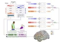 A Unified Acoustic-to-Speech-to-Language Embedding Space Captures the Neural Basis of Natural Language Processing in Everyday Conversations