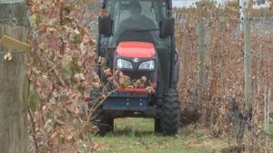 West Kelowna Winery Harnesses Infrared Technology To Protect Vines