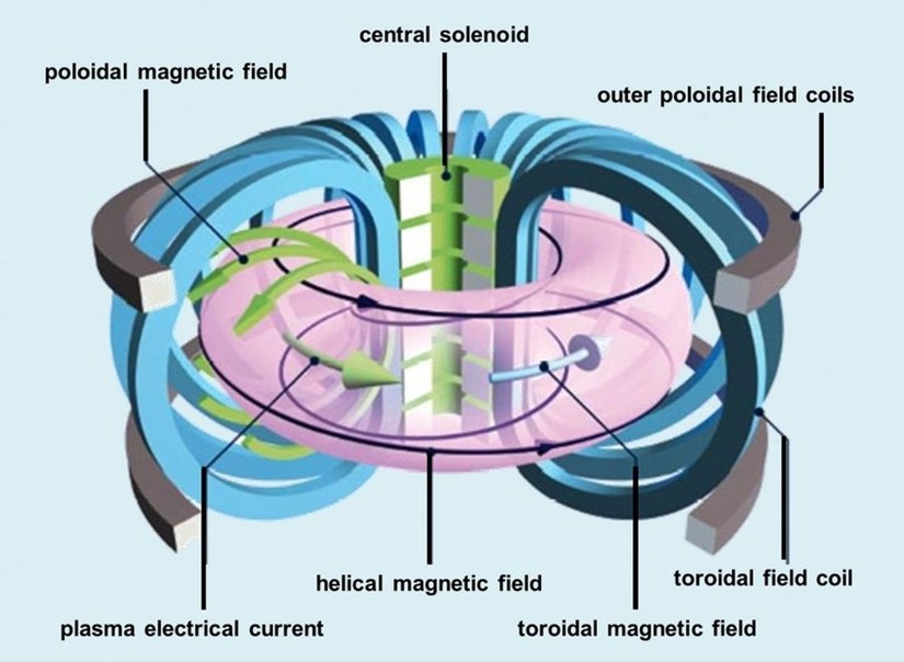 Toroidal ve poloidal manyetik alanları gösteren bir görsel.