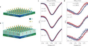 Researchers Discover Valley Charge-Transfer Insulator In WSe2