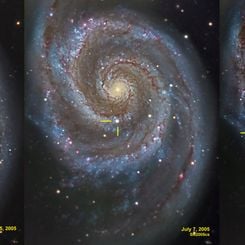 Supernovae in the Whirlpool