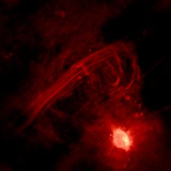 The Galactic Center Radio Arc