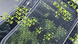 Sentetik Biyoloji ve Biyomühendislik