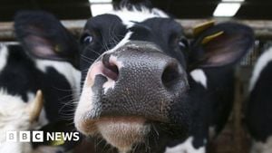 Concerns Mount Over Rising UK Megafarms And Animal Welfare