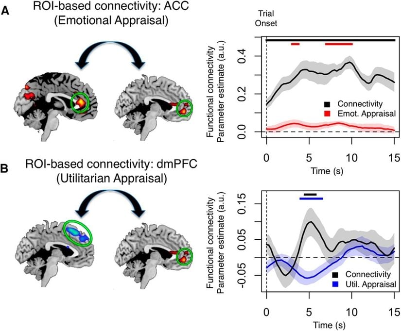 Genel bir ahlaki karara varılırken ayrı bölgelerden gelen bilgi, beynin ventromedial prefrontal korteks bölgesinde (vmPFC) birleştirilir.