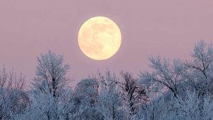 December 2024 Cold Moon: How To View It?