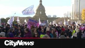 Alberta Education Workers Strike For Fair Wages