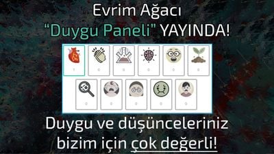 Evrim Ağacı Duygu Paneli Yayında!