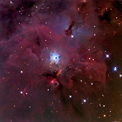 NGC 1999: South of Orion