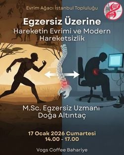 Egzersiz Üzerine: Hareketin Evrimi ve Modern Hareketsizlik - EA İstanbul Topluluğu