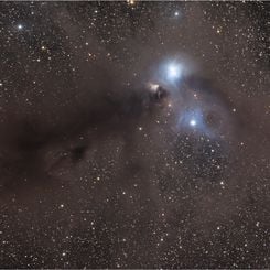 Stars and Dust Across Corona Australis