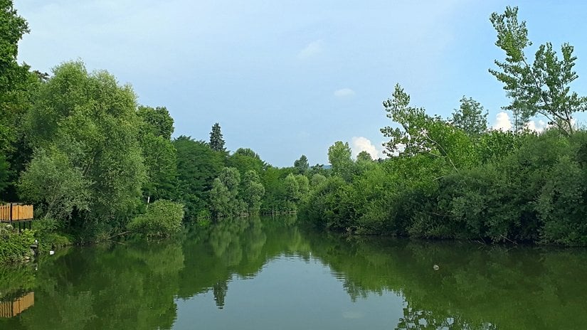Bartın Çayı, Ötücü kuşların görülebilmesi için güzel bir alan