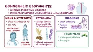 New Study Sheds Light On Eosinophilic Gastrointestinal Disorders