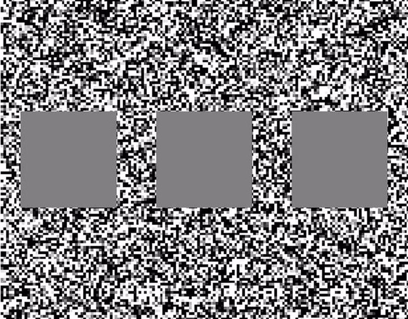 Bir stereo görüş testinin monoküler ön izlemesi