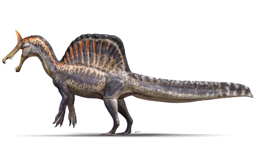 Spinosaurus mirabilis