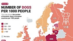 ÇAĞRI MERT BAKIRCI SOKAK HAYVANLARI YAZISINA İTİRAZ